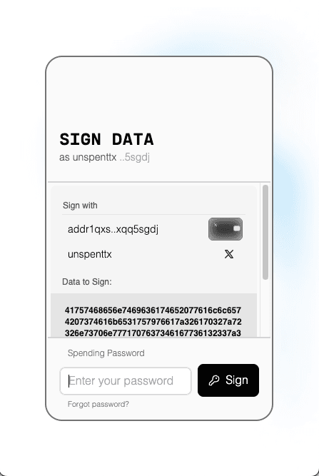 User scanning QR code to create instant Cardano wallet